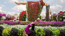 Dubai Miracle Garden: Explore World's Largest Floral Wonderland