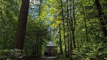 Scone Palace, Nature, Pitlochry, Whisky Experience from Edinburgh