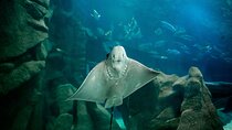 AquaRio and Biopark half-day tour