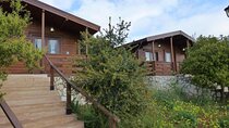 2 Days Jordan Nature Relaxing Private Tour