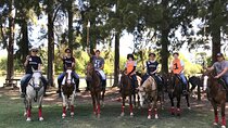 Polo Day with Argentine Asado Day Tour from Buenos Aires