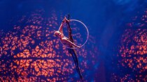 La Perle by Dragone Show Tickets in Dubai