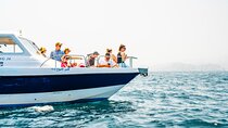 Dolphin Watching in Muscat
