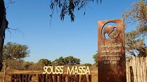 Excursions to the Souss Massa National Park 