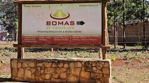 Giraffe Centre and Bomas of Kenya Full-Day Tour from Nairobi