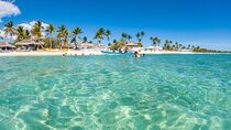 Full Day Private Catalina Island Tour by Speedboat