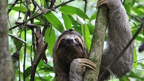 Guanacaste full day: Explore Nature, horse, sloth and waterfalls