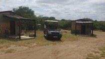 5 Day Masango Safari