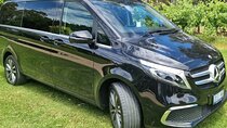 McLaren Vale Small Shared Tour with Wine Tasting and Lunch 