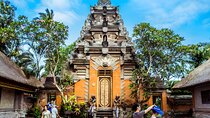 Private Half-Day Tour: Ubud Tour Packages