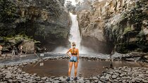 Bali Car-Charter: Ubud Full Day Tour