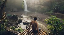 Bali Car-Charter: Half Day Ubud Waterfall Tour