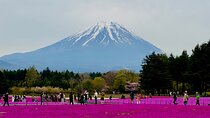VIP Mt. Fuji, Lake Kawaguchiko & Lake Yamanakako One Day Tour