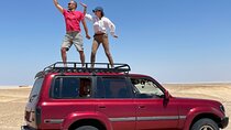 Private Day Tour to El Fayoum Oasis