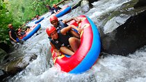 Bali River Tubing Adventure and Jungle Swing Packages