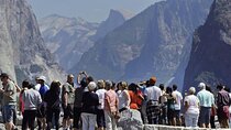 Enchanting Yosemite National Park Tour from San Francisco