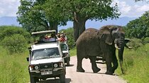Day Trip Safari to Selous game reserve 