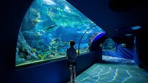 The North with Odysseo Aquarium, Botanical Garden and Lunch