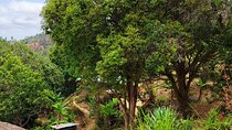 14 Days to Experience Authentic Village Life in Taita Hills