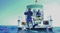 Small Group Key West Snorkel Adventure