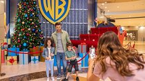  Private Abu Dhabi City Tour with Warner Bros 