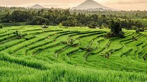 Bali 3 Days Private Tour-Bali Highlight 