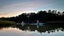 Kayak tour of Jamestown Island (Small Group or Private)