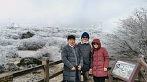 Jeju Private Tour Couple Package to All area of jeju island