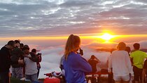 Bali Sunrise Trekking and Full-Day Trip in Ubud Best Destination