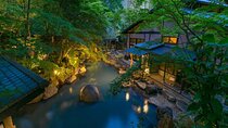 From Tokyo: Private Tour to Fuji/Hakone - Onsen, Arts and Nature