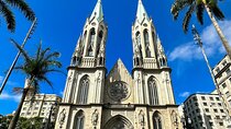 Full Day Private Shore Tour in Sao Paulo from Santos Cruise Port