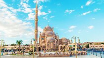 Full Day Private Shore Tour in Sharm from Sharm El-Sheikh Port