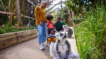 London Zoo Entry Ticket 