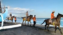 Bali Horse Riding and ATV Ride Packages : Best Quad Bike Trip