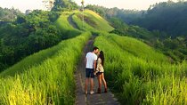 The Highlight of Ubud Country Side Full-Day Tour