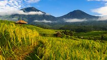 Bali Tour: Lake, Iconic Gate, Temple, Hot Spring and Rice Terrace