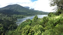 Bali Jungle Trekking in Beautiful Rainforest