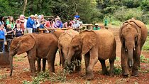  Half day tour to Elephant orphanage & Giraffe Centre Nairobi