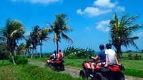Bali Quad Bike Adventure and Ubud Full Day Tour Packages