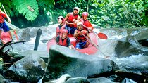 Ayung River Rafting and Bali Swing Packages