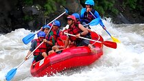 Ayung River Rafting and Ulun Danu Temple - Tanah Lot Temple Tour