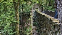 Scone Palace, Nature, Pitlochry, Whisky Experience from Glasgow
