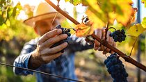 UNESCO Heritage and Wine Delights Private Tour from Bordeaux
