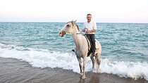Horseback Riding on the Beach and through the Forest 