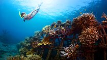 Blue Lagoon Snorkeling and Uluwatu Sunset Tour