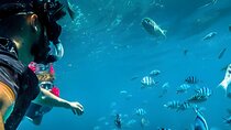Blue Lagoon Snorkeling - All Inclusive