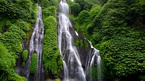 Bali Car Charter with English Speaking Driver