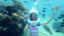 Bali Sea Walking Activity in Nusa Dua and ATV Ride Packages