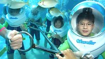 Bali Activity: Bali Sea Walking in Nusa Dua Ocean