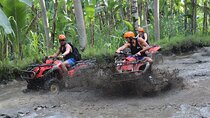 Bali Quad Bike and Tanah Lot Sunset Tour